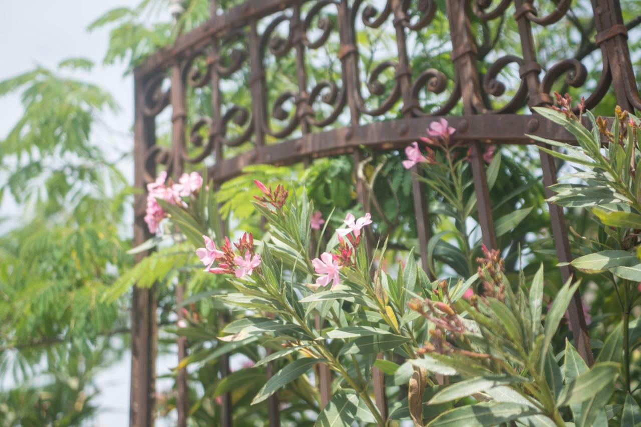 Vinauberge Poilhes エクステリア 写真